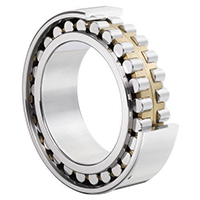 INA SL04200 Cylindrical Roller Bearing Double Row