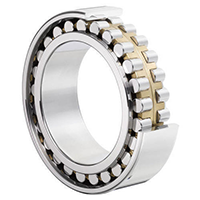 NSK NN3013MBE44CC1P5 Cylindrical Roller Bearing Double Row
