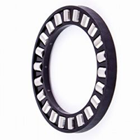 INA K81112-TV-0-8 Cylindrical Roller Bearing with Cage (assembly)